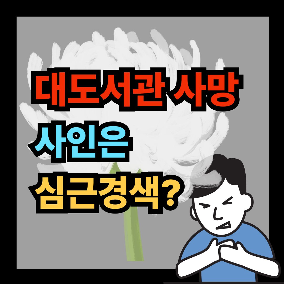 유튜버 대도서관 사망