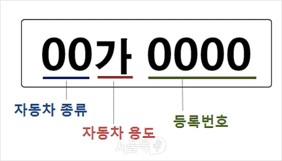 렌트카 번호 허 하 호 어 비교견적 비용은_5