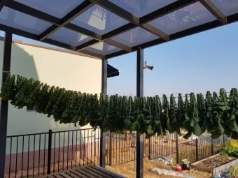 김장 적정 기온 절임 배추 보관 통풍 위치 점검_7