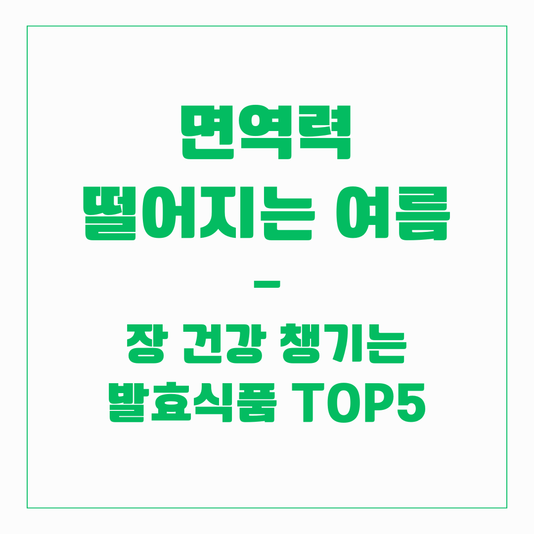 면역력 - 장건강 발효식품 TOP 5