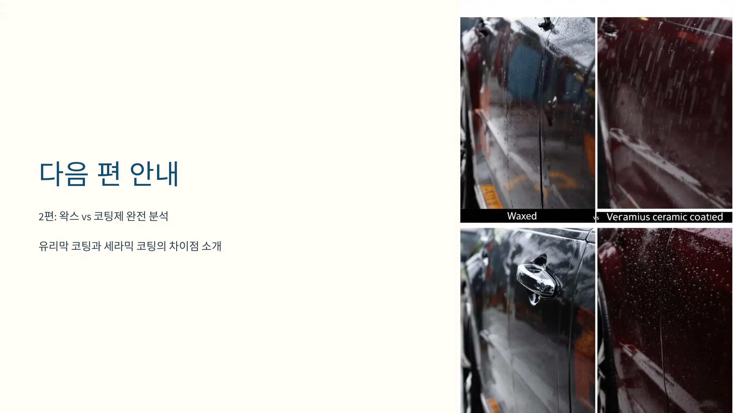 2편에서는 왁스 vs 코팅제 완전 분석