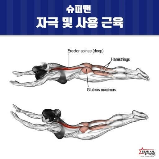 중.장년층 골밀도 높이는 홈트레이닝 방법과 올바른 자세