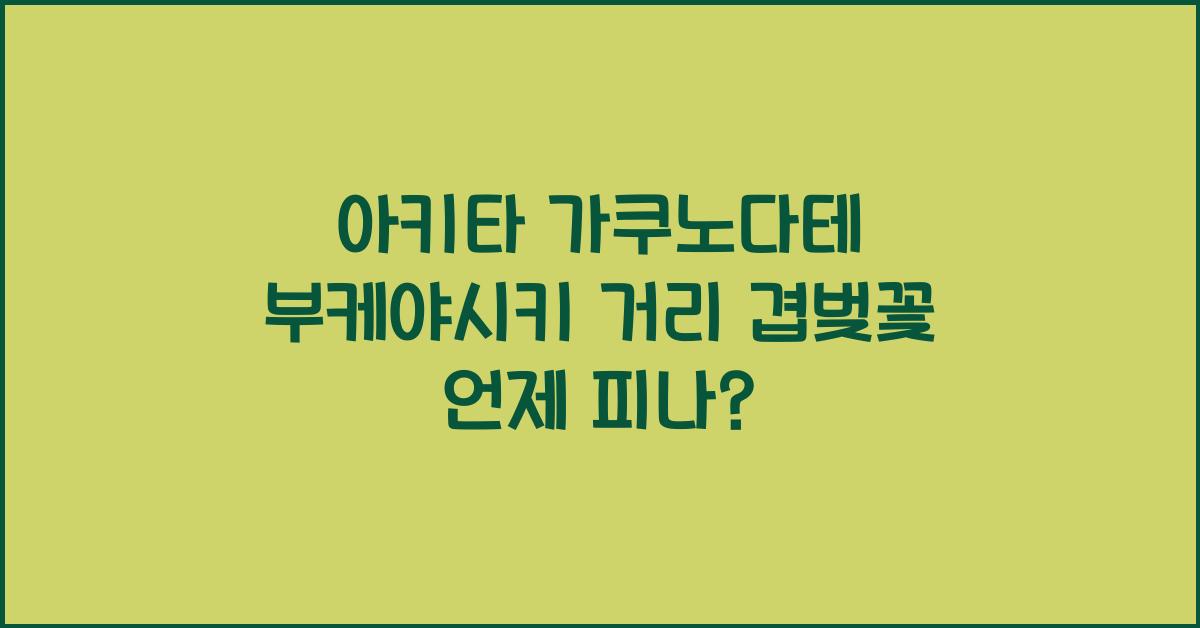 아키타 가쿠노다테 부케야시키(사무라이 저택) 거리 겹벚꽃 개화 시기