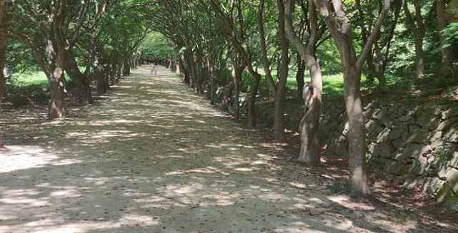 내장산 국립공원케이블카