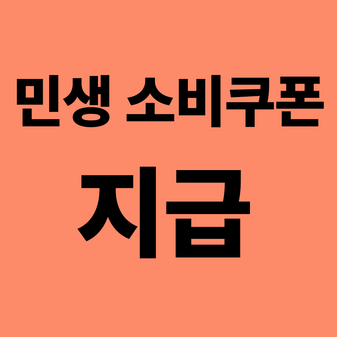 민생지원금소비쿠폰