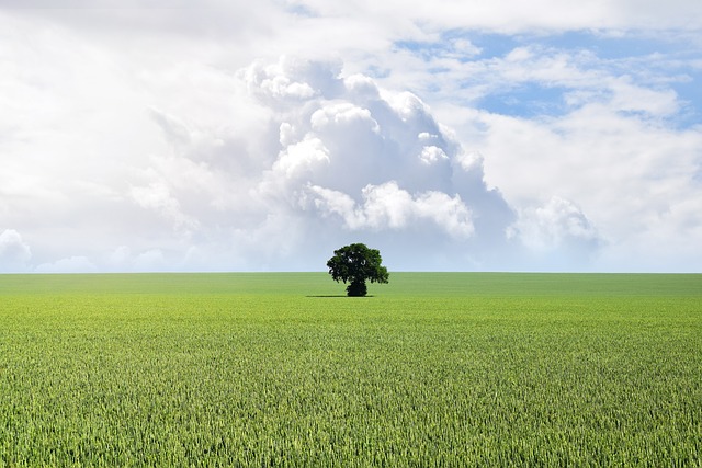 조경기능사 응시자격