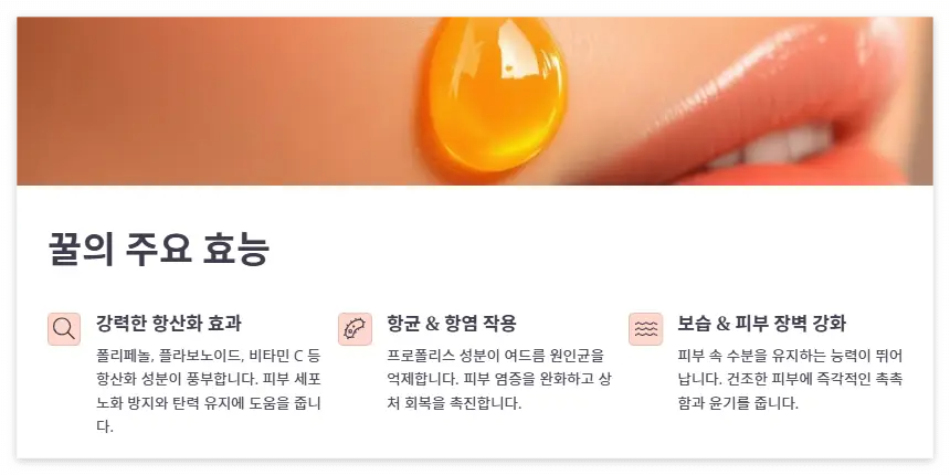 꿀의 주요 효능 – 왜 건강과 피부에 좋은가?