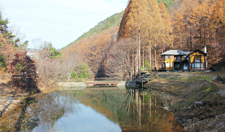 온빛자연휴양림