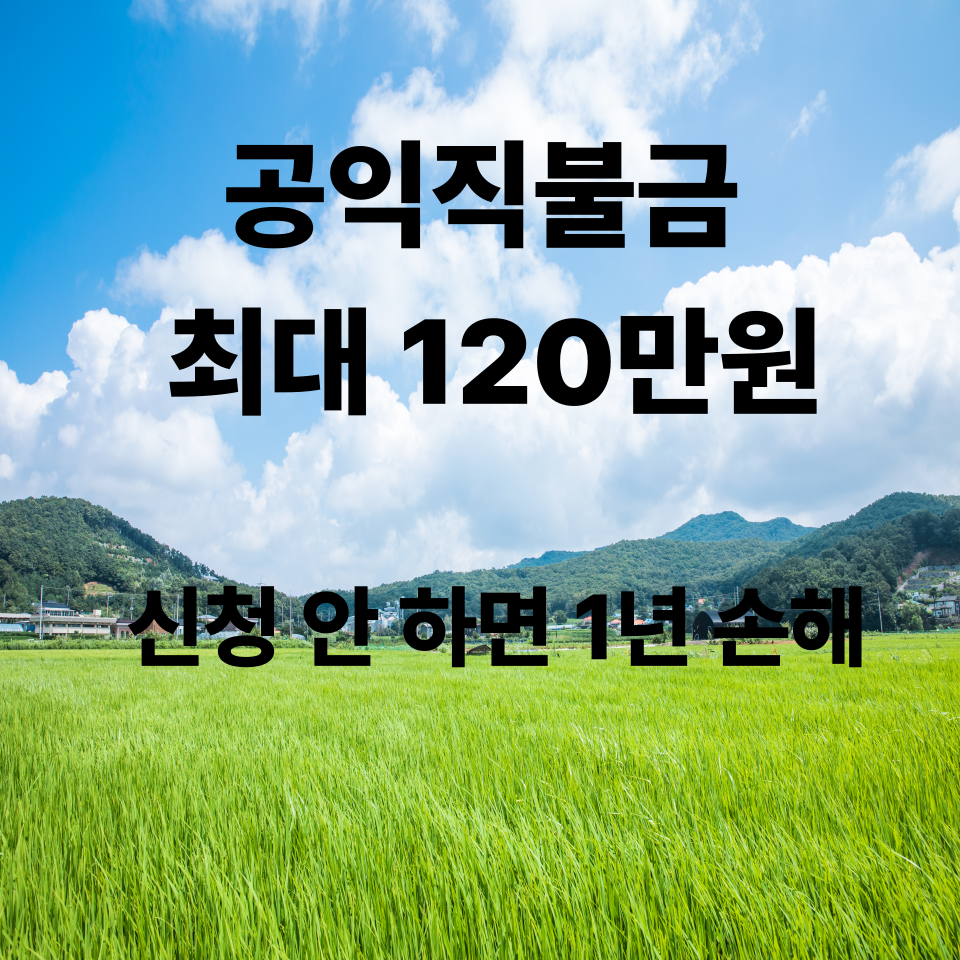 공익직불금 신청 방법 총정리 지급 대상·금액·신청기간 확인
