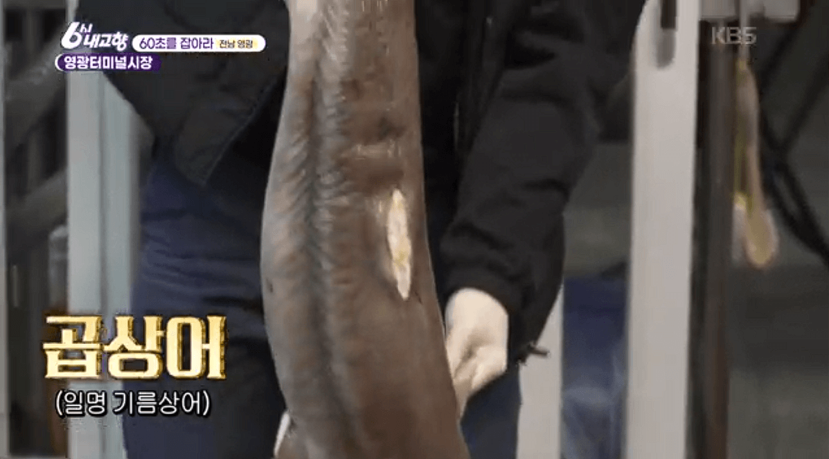 [6시내고향]전남 &amp;#39;영광터미널시장&amp;#39; 굴비 부세 홍어 모싯잎송편 택배 구매 연락처 정보