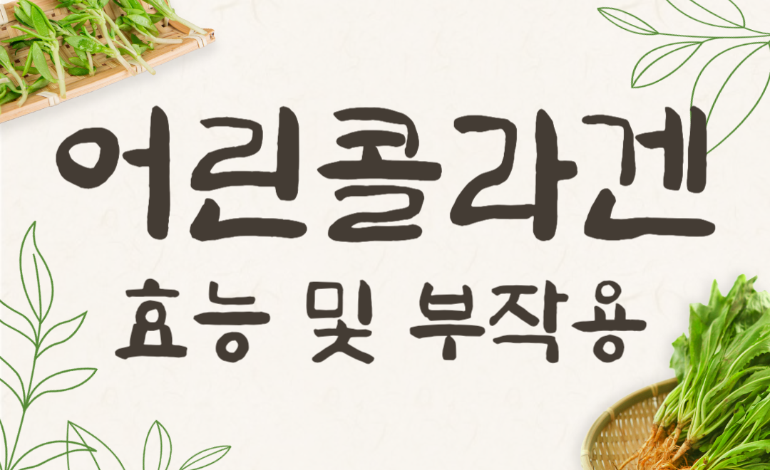 저분자 어린콜라겐 효능 부작용 총정리! 피부탄력에 도움될까?