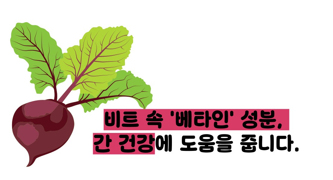 비트 효능 및부작용