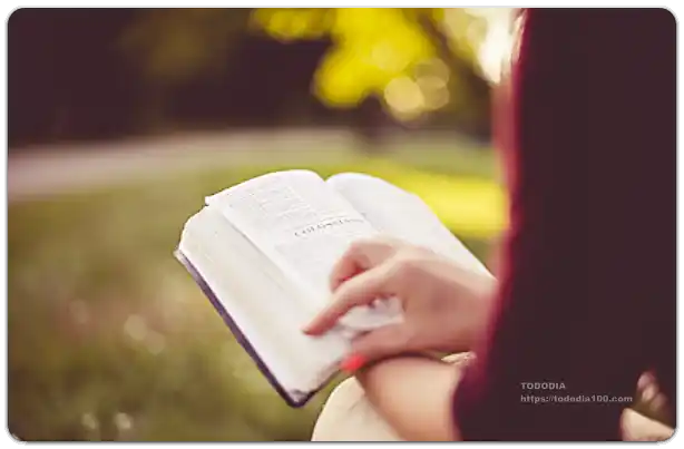 2025년 교육급여