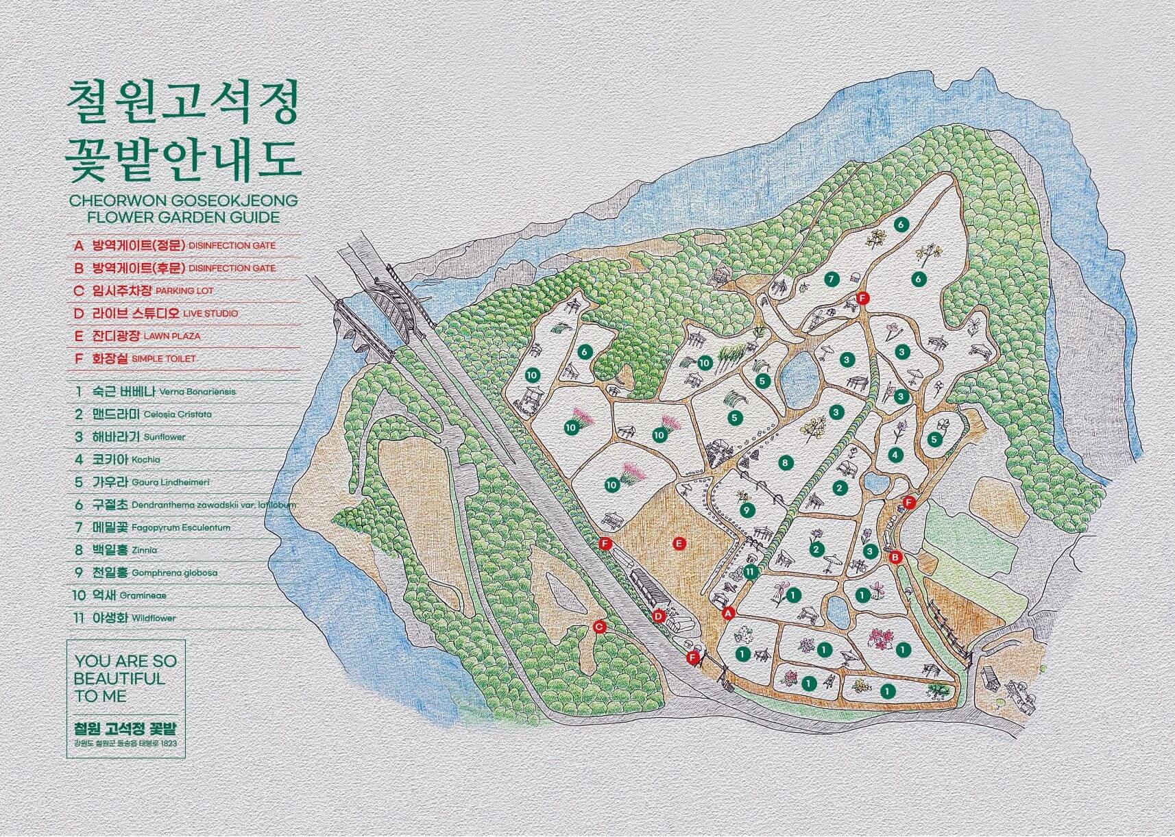 2025년 철원 고석정 꽃밭 가을 개장 일정