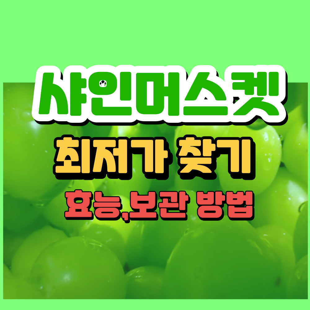 샤인머스켓가격효능