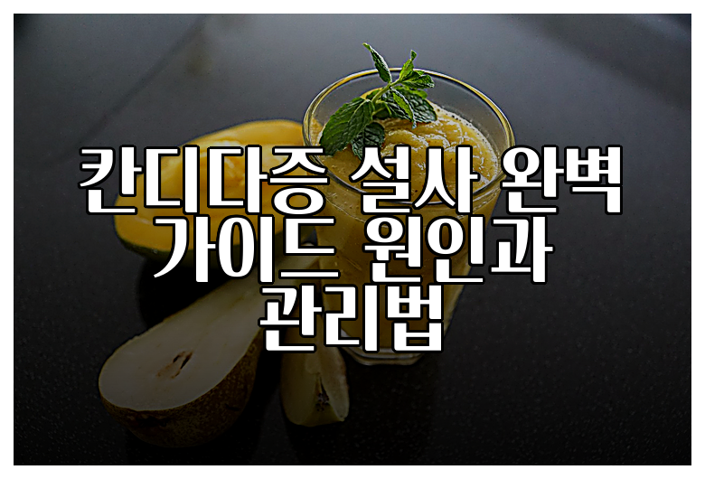 칸디다증 설사 완벽 가이드 원인과 관리법