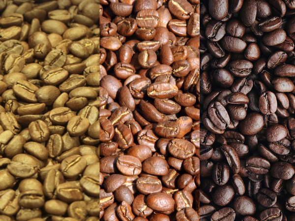 스페셜티 커피 원두 고르는 법_배전도