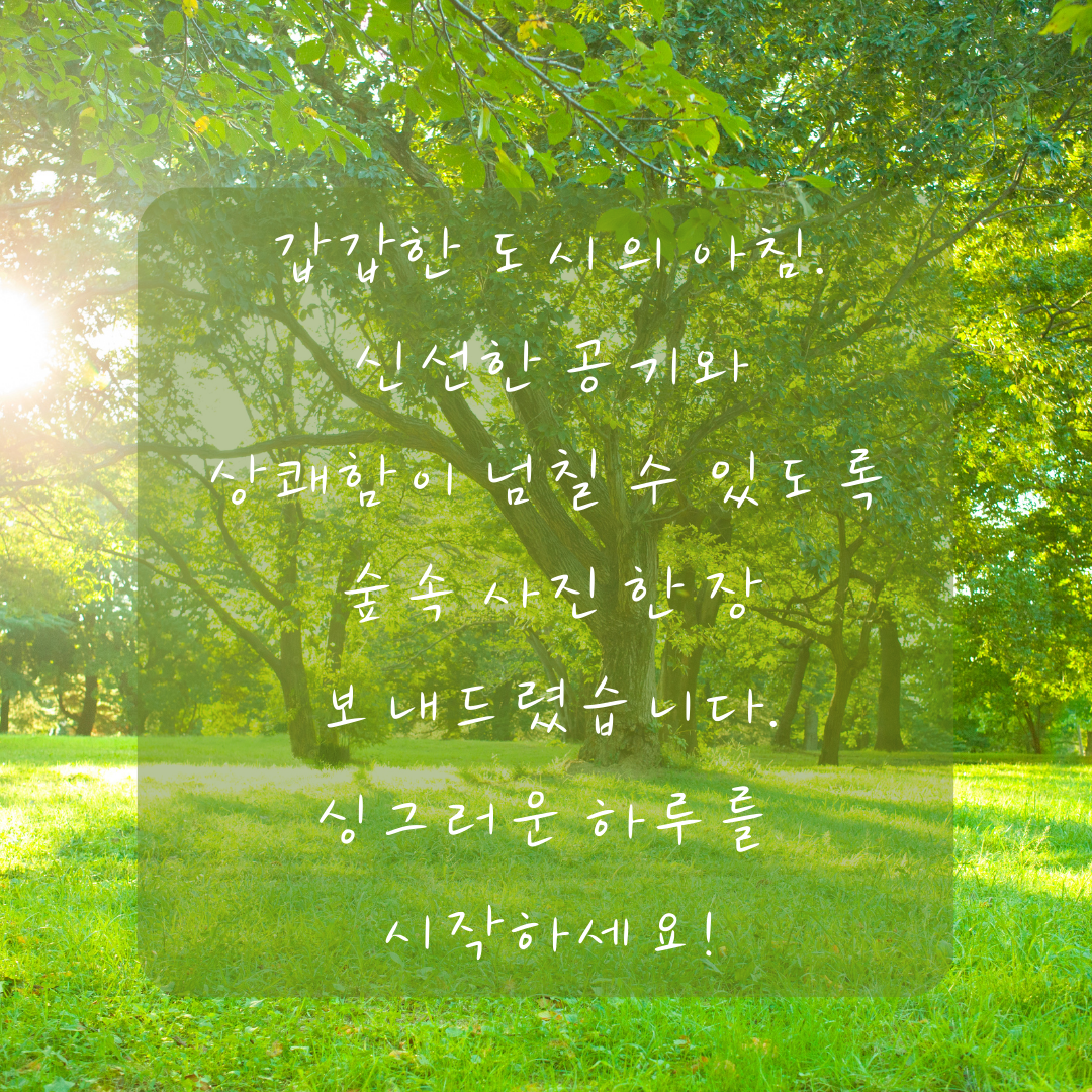 기분 좋은 아침 인사말 이미지 문구 모음집