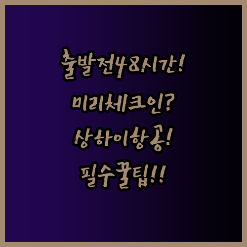 상하이항공 출발 48시간 전부터 체크..