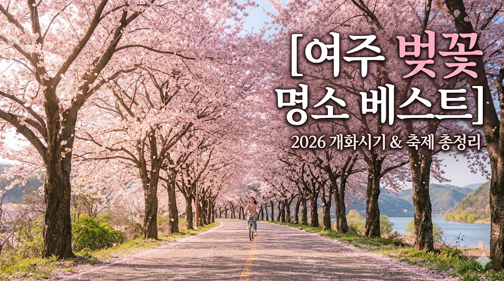 여주 벚꽃 명소