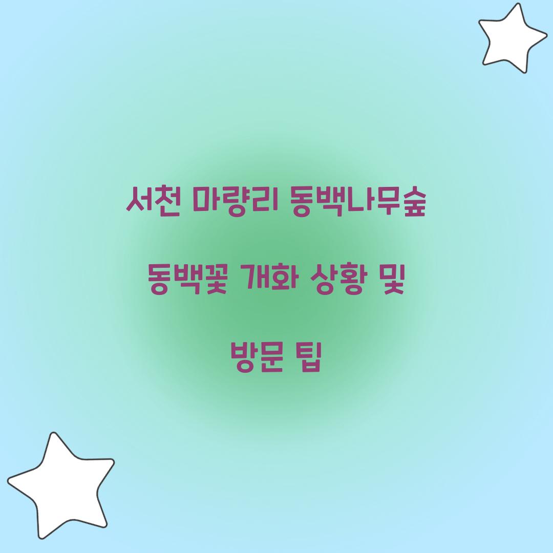 서천 마량리 동백나무숲 동백꽃 개화 상황