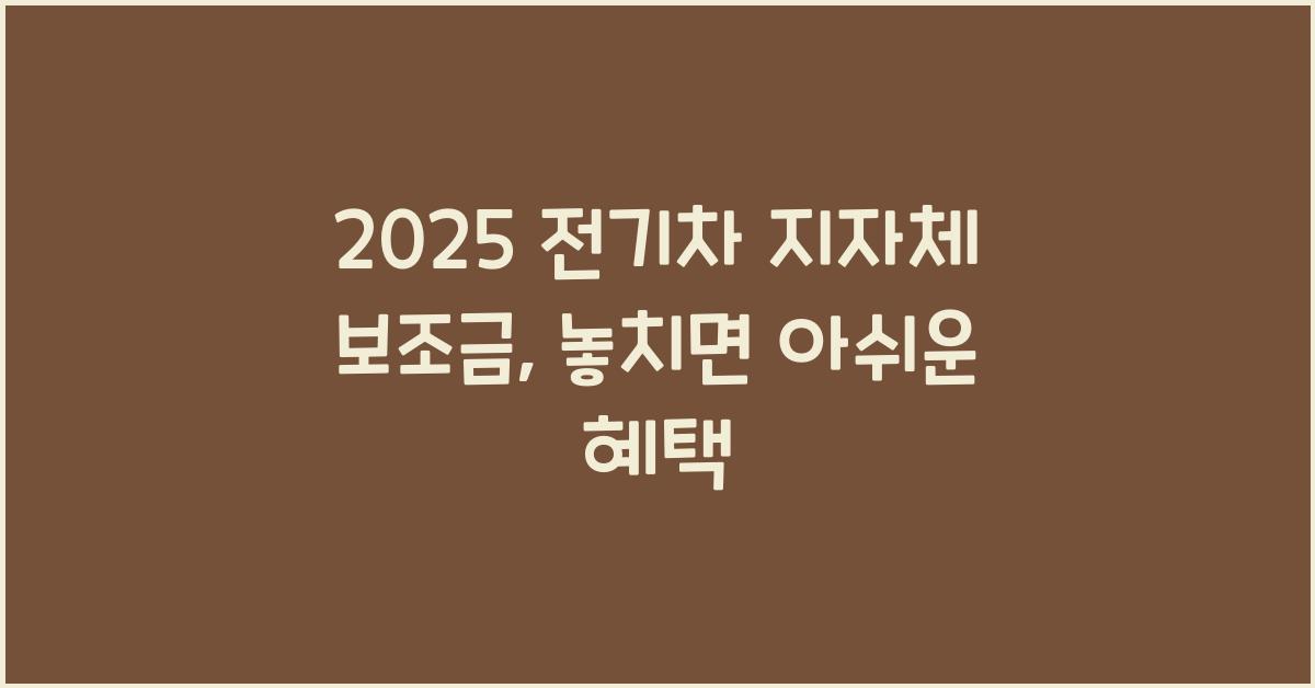 2025 전기차 지자체 보조금