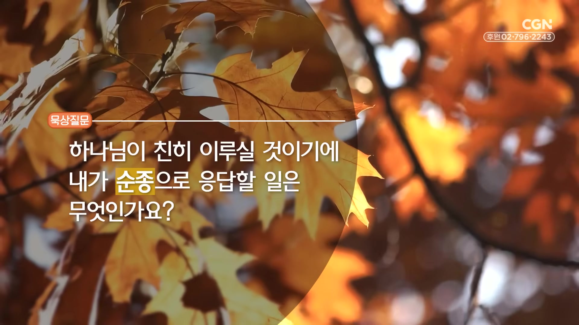 하나님이 친히 이루실 것이기에 내가 순종으로 응답할 일은 무엇인가요?