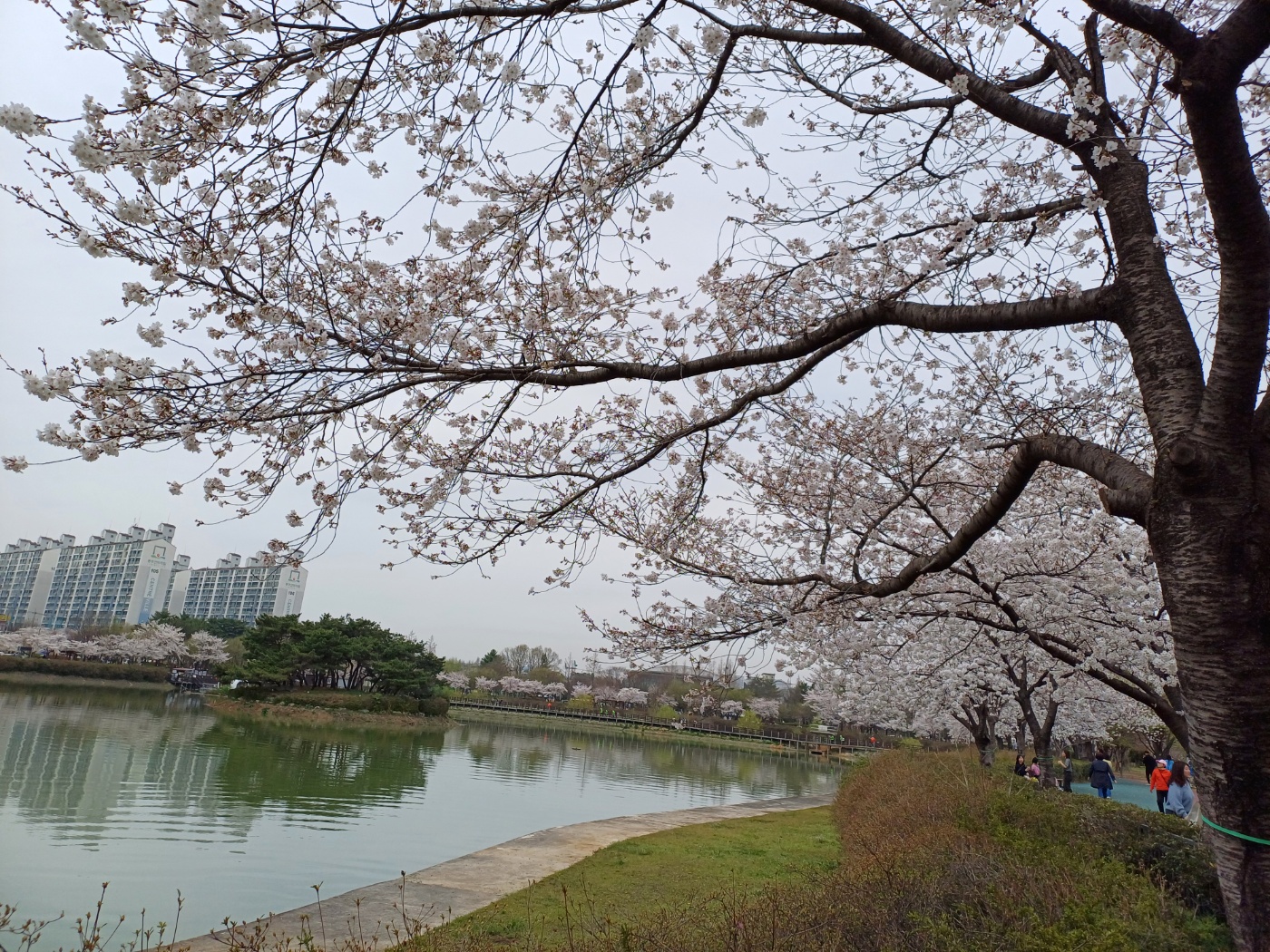 쌍암공원