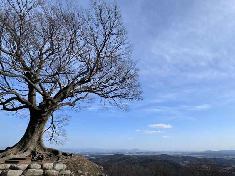 부여 가림성
