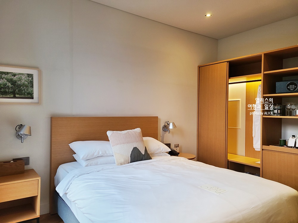 라까사호텔 광명 스탠다드 더블룸 후기, 가성비 좋은 아늑한 호텔, 숲뷰