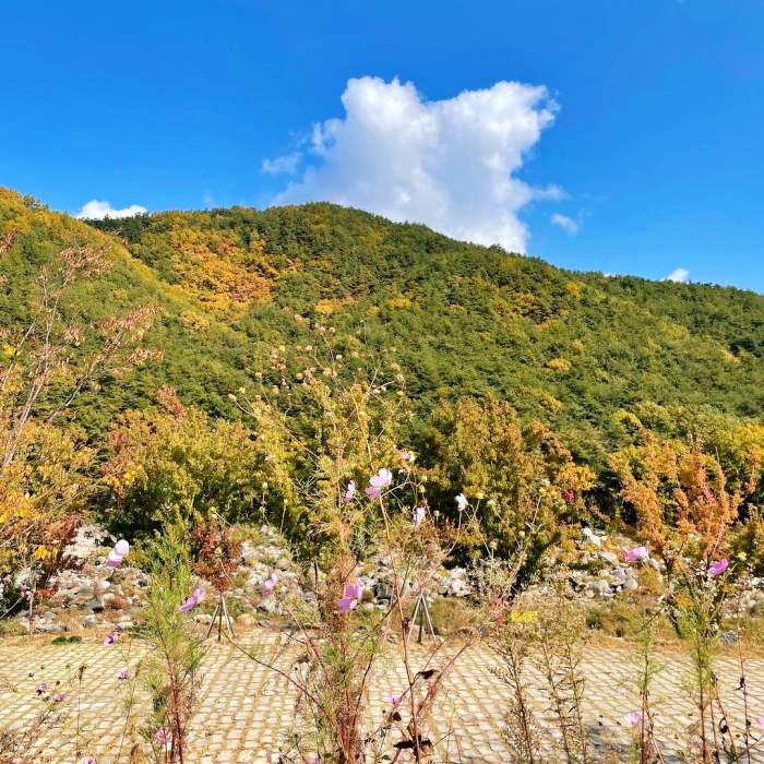 생방송투데이 캠핑장 57kg 오캠맨 증량 캠핑식 추천