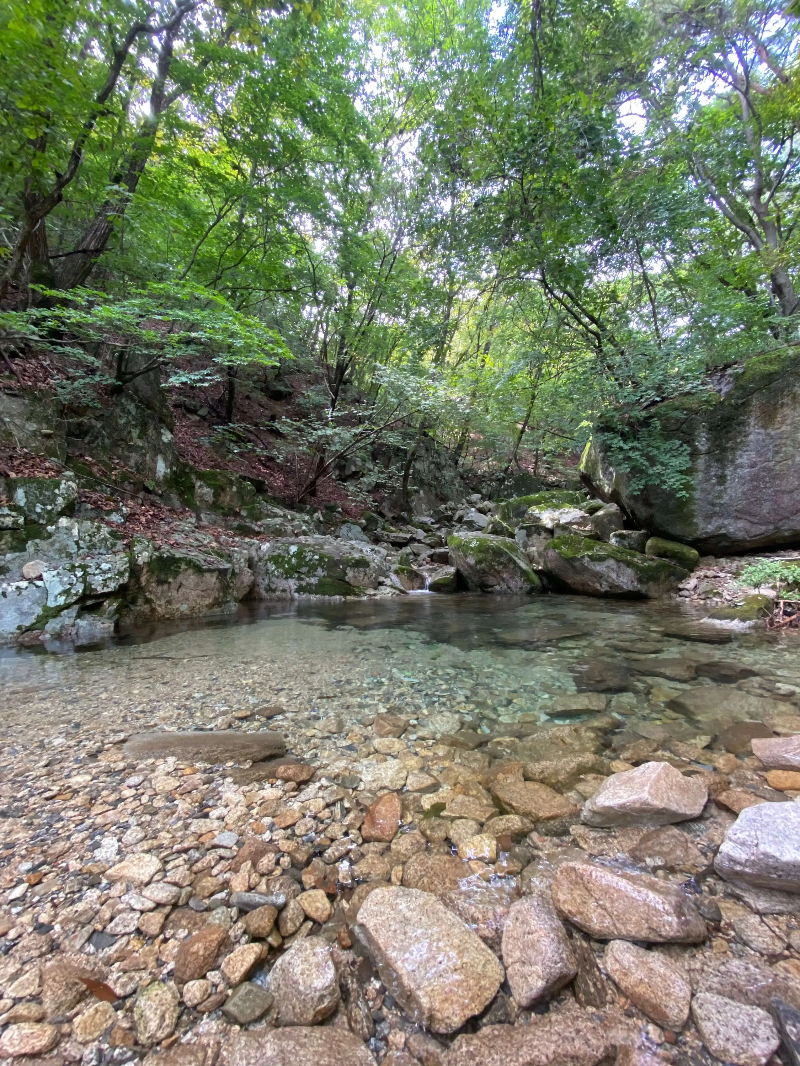 가평 운악산 출렁다리 국내여행