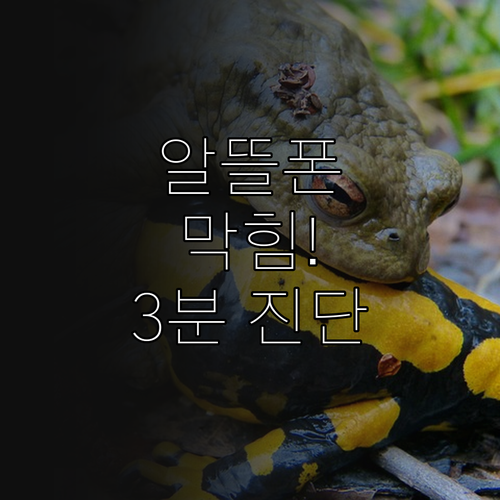 알뜰폰 개통 막힘 자가 진단과 조치..