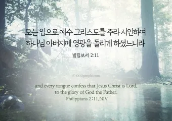 빌립보서 1장 6절 묵상 - 너희 안에서 착한 일을 시작하신 이가 그리스도 예수의 날까지 이루실 줄을 우리는 확신하노라_11