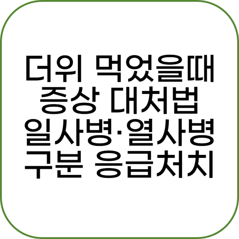더위 먹었을때 증상 대처법, 일사병·열사병 구분과 응급처치법