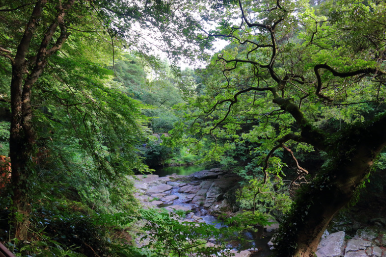 자연 속 평온의 노래: "계곡이 나를 부른다"
