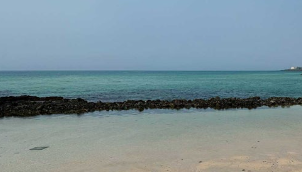 인터파크 국내여행