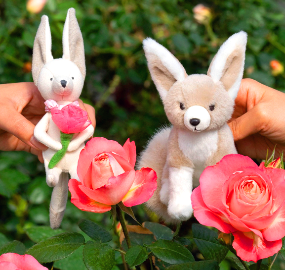 에버랜드 로로티 장미축제