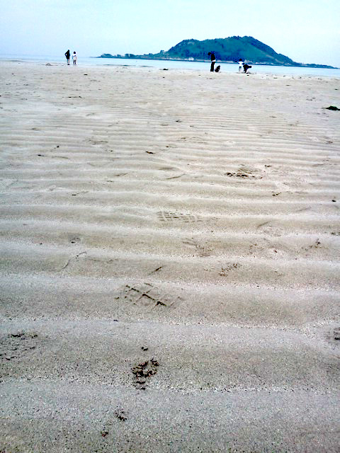 협재해수욕장(Hyeopjae Beach)