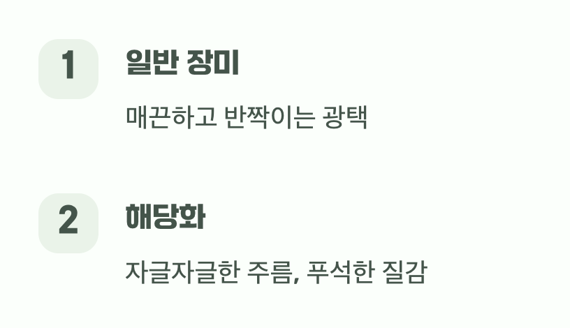 결정적 차이 1: 잎사귀를 만져보세요