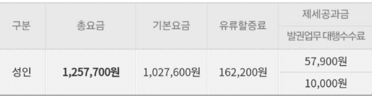 베트남 비즈니스석 가격