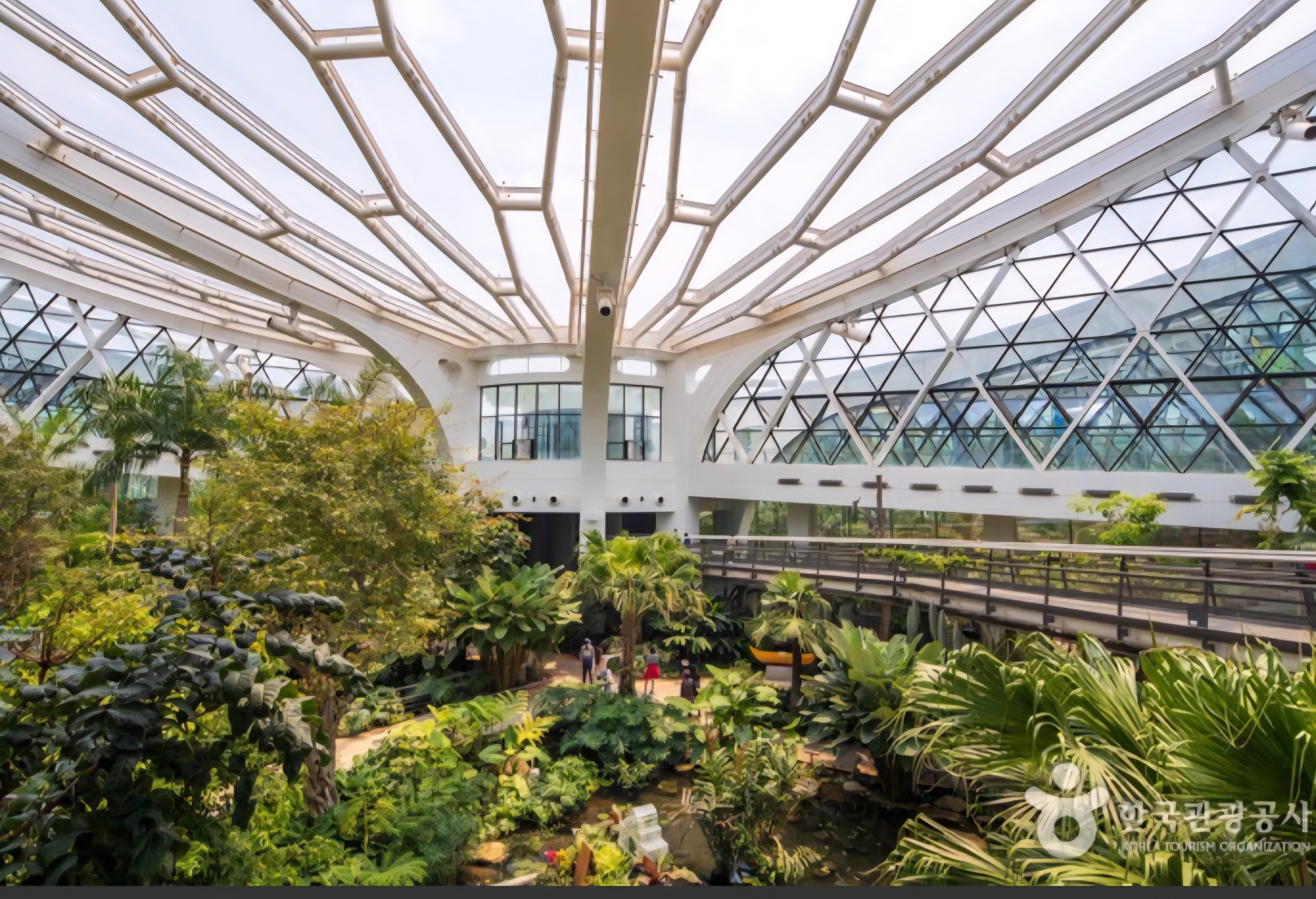 서울식물원 온실 내부 사진