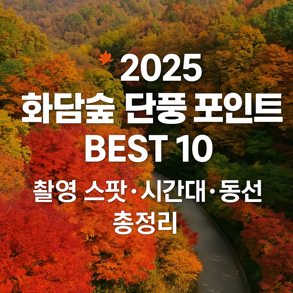 2025 화담숲 단풍 포인트 BEST 10|촬영 스팟·시간대·동선 총정리