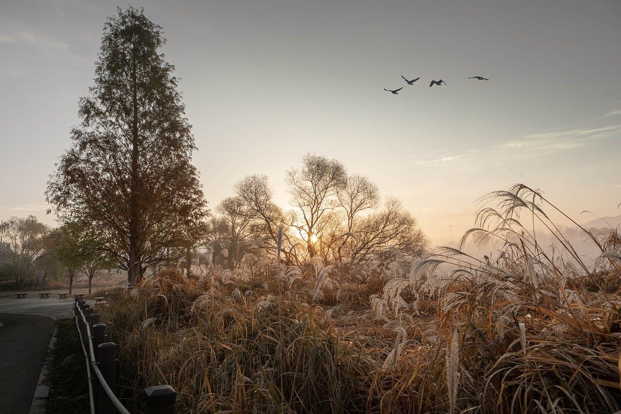 AI가 모든 결정을 내린다면? 윤리적 딜레마와 해결책