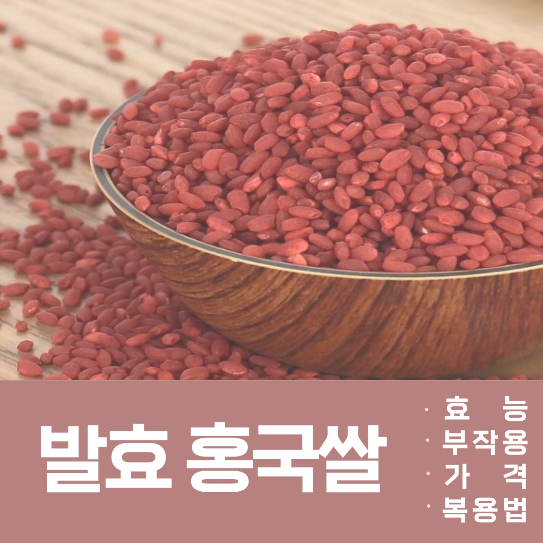 발효 홍국쌀