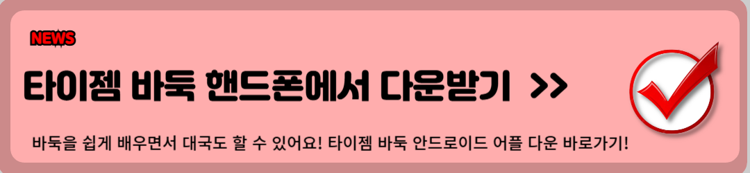 타이젬, 타이젬바둑, 즐기는 팁