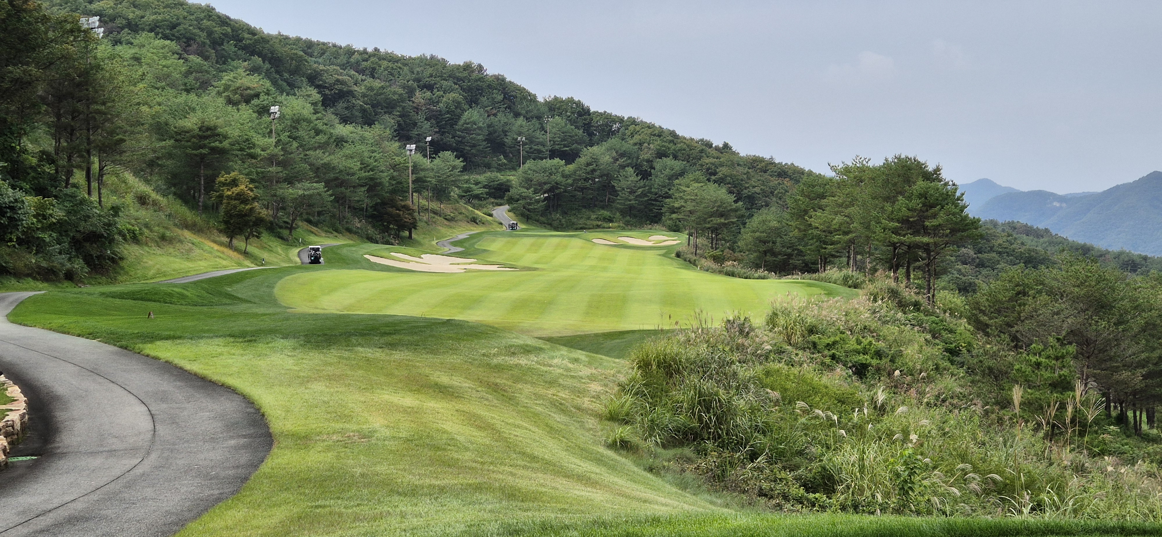 소노펠리체cc이스트