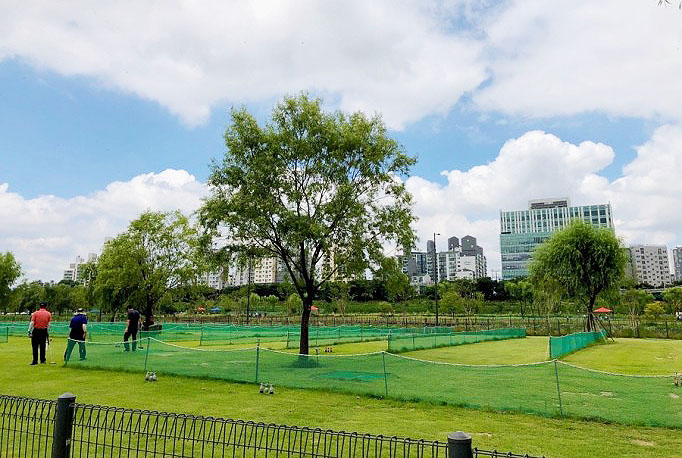 안양천파크골프장 (18홀 + 9홀) 통합 소개​