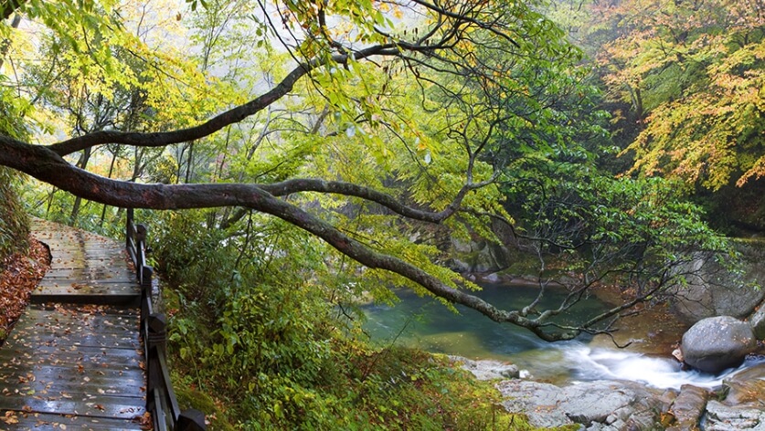 덕구온천스파리조트 아침 산책로 코스