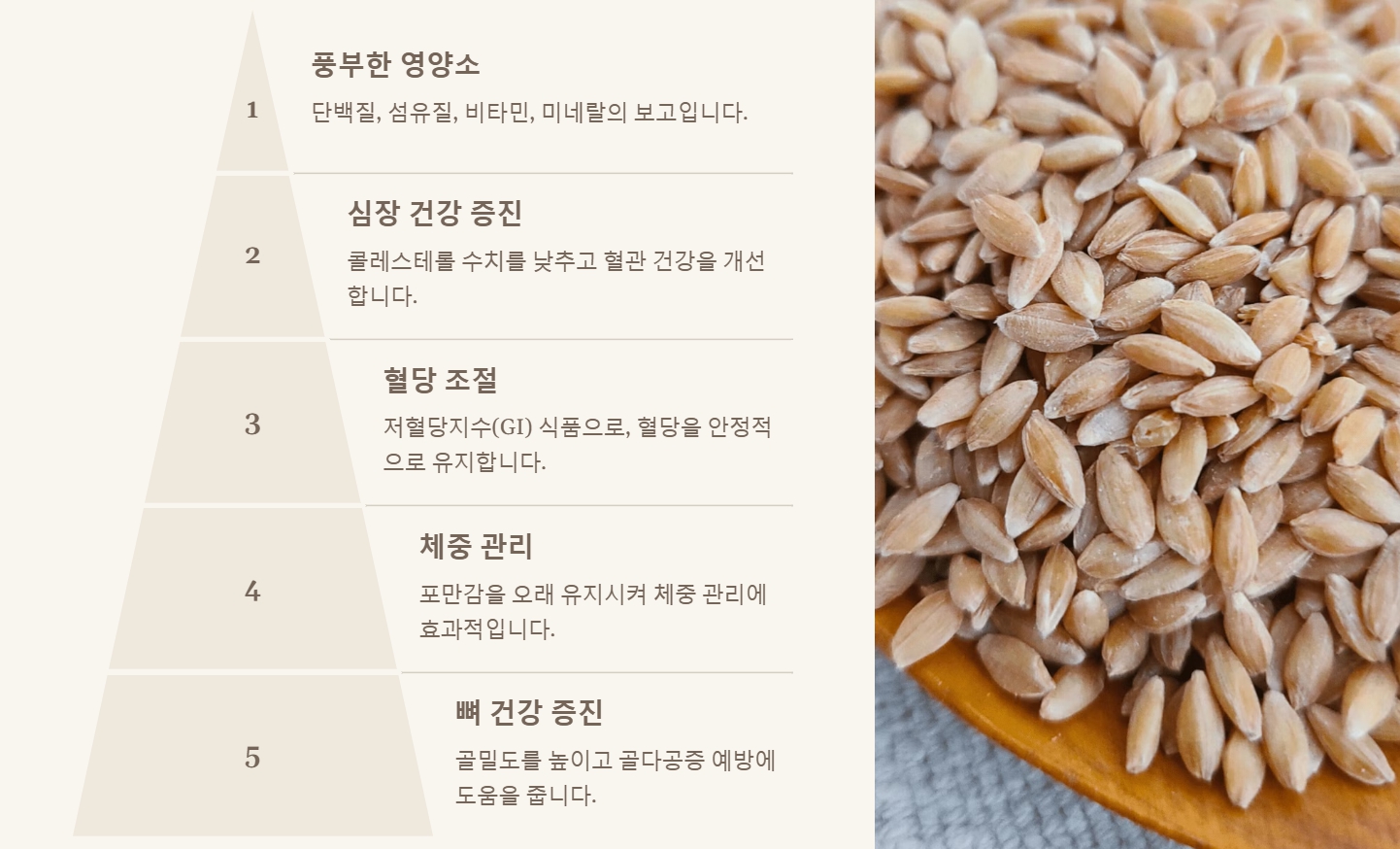 파로 곡물 효능 먹는법 요리